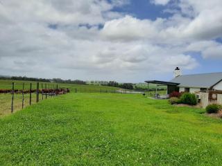 Kiekiebos - Wilderness - 3