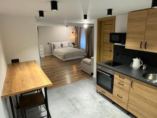 New Gray Apartment - Kattowitz - 2