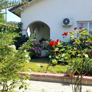 Green Paradise Villa - Pejë - 6