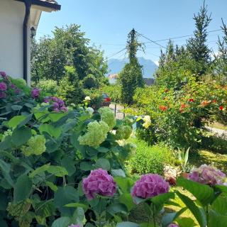Green Paradise Villa - Pejë - 4