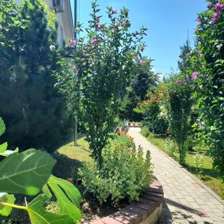 Green Paradise Villa - 3