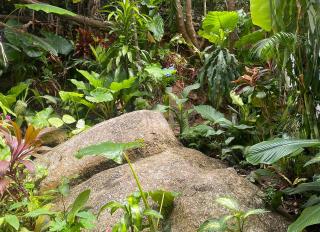 NATURIST Garden Suite clothing optional - 5