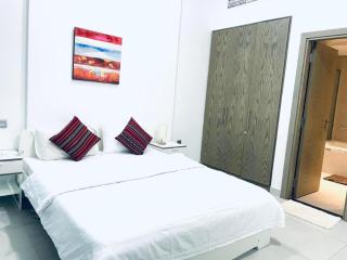 Fully Furnished 1 BEDROOM HALL APAPTMENT AL BARSHA1 - 3