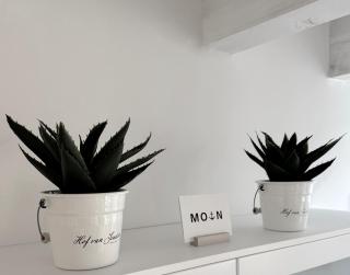 Van Senden 4 Fenja - 2