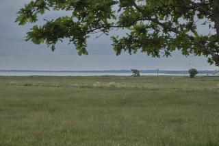 Awesome Home In Ørsted With 3 Bedrooms, Sauna And Wifi - 8