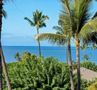 Kihei Akahi D-410 condo - Wailea - 5