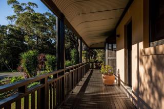 The Agave - Currarong - 2