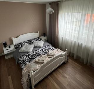 Cozy Apartment - Buzău - 0