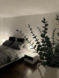 2,5 Zimmer Wohnung in Fürstenfeldbruck-Buchenau - Fürstenfeldbruck - 4