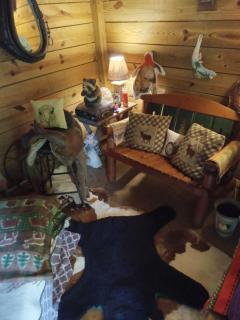 Sky acres aka the tin cottage - Chiefland - 5