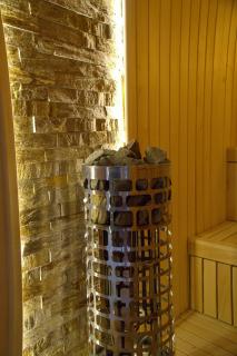 Forest Zlatni Bor - 4