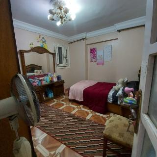 زهرة اللوتس - Alejandría - 0