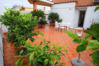 Oasi urbana - The Vatican Roof Garden - Rome - 0