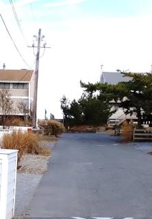 Tower Shores Tiny Gem - Bethany Beach - 3