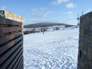 Apartamenty Pod Łysicą & SPA - przy stoku, basen, jacuzzi, sauna - 5