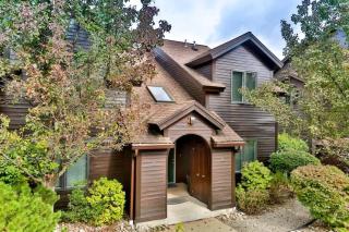 Spacious 3 BR Condo Steps Away From Slopes - Hunter - 8
