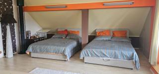 Apartment ZOI - Ptuj - 2