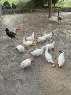 Casa Rural Privada Belén - 3