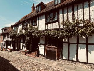 River View - Stunning Garden Flat w Free Parking Pass The Keys - Rye - 8