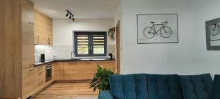 Tarnów Velo Apartament - Dom - Tarnów - 9