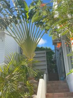 Traveler's Tree Palm House - Cul de Sac - 0