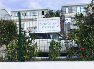 Traveler's Tree Palm House - 6