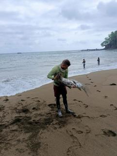 Ecohotel Punta Roca - 1