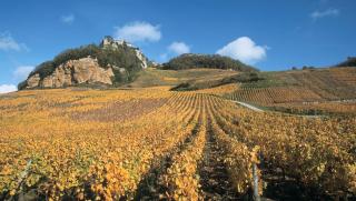 Le onze - Lons-le-Saunier - 2