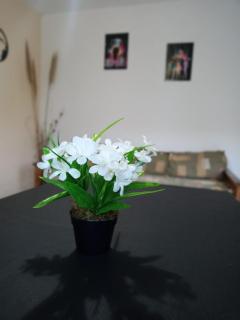 Ph Los pichis Santa Teresita - 1