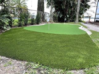 4 Rooms, Lake, Pool, Hot Tub, Putt-Putt - Orlando - 8