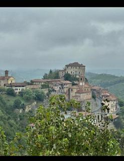 Il bosco delle torte - Castellinaldo - 7