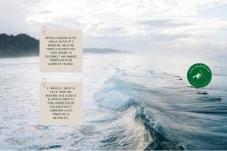 Star Mountain Jungle Lodge - Only 4x4 Vehicles, No Meals - 5