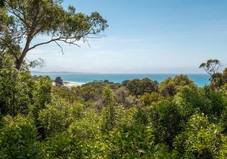 Watershack - Expansive ocean views, close to town - Lorne - 9
