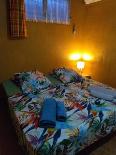 Chez Caroline - Basse-Terre - 1