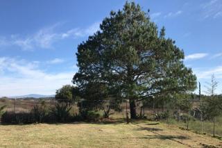 Cabaña Venta de Guadalupe - 1