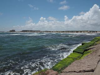 Couples Retreat Pool Steps to Beach Boat Slip - Padre Island - 4