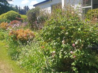 Windhaven Bed & Breakfast - 3