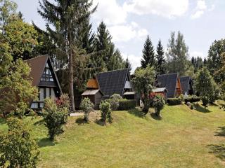 Chalet with terrace near a swimming lake - Waldkirchen - 2