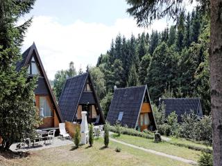 Chalet with terrace near a swimming lake - Waldkirchen - 0