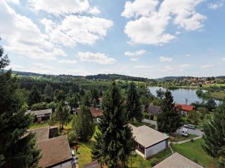 Chalet with terrace near a swimming lake - Waldkirchen - 1