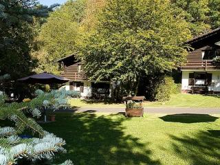 Cozy chalet with fireplace in wooded area - Schönecken - 9