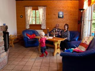 Cozy chalet with fireplace in wooded area - Schönecken - 7
