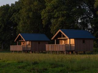 Nice lodge with unobstructed view in Drenthe - Ruinerwold - 9