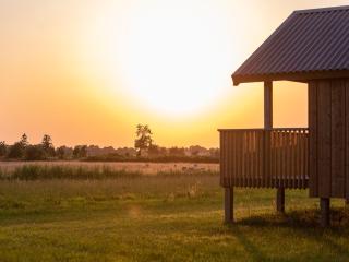 Nice lodge with unobstructed view in Drenthe - Ruinerwold - 6