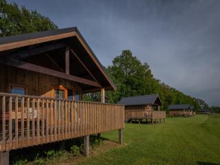 Nice lodge with unobstructed view in Drenthe - Ruinerwold - 1