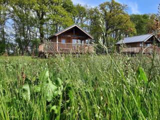 Nice lodge with unobstructed view in Drenthe - Ruinerwold - 3