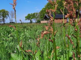Nice lodge with unobstructed view in Drenthe - Ruinerwold - 2