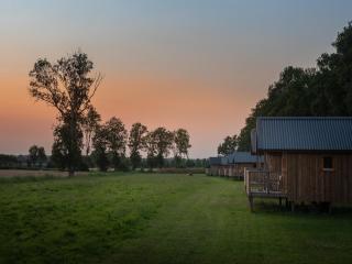 Nice lodge with unobstructed view in Drenthe - Ruinerwold - 7