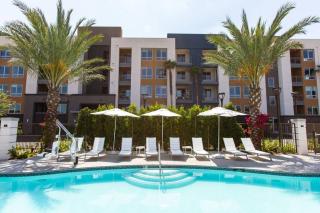3 Miles to Disney Heated Pool CnvntnCtr Jacuzzi - 6
