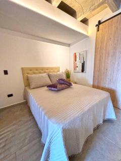 c202 - Loft, hab1, baño 1, 1tv, sofacama, wifi - La Ceja - 7